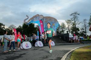 BIB: 
                            <button type="button" onclick="openModal(26529388)" class="btn btn-primary btn-sm float-right btn-popup" data-toggle="modal" data-target=".modal-high-quality">
                        <i class="fas fa-shopping-cart"></i> Add to Cart
                    </button>
                                            <button type="button" onclick="isThisMe(26529388, true)" class="btn btn-success btn-sm float-right btn-popup btn-isme hidden" data-toggle="tooltip" data-placement="bottom" title="นี่คือรูปของคุณใช่ไหม คลิกที่นี่เพื่อเอาเข้าอัลบั้ม">
                        <i class="fas fa-plus"></i> Add to album
                    </button>
                    <button type="button" onclick="isThisMe(26529388, false)" class="btn btn-warning btn-sm float-right btn-popup btn-isnotme hidden">
                        <i class="fas fa-ban"></i> Remove from album
                    </button>